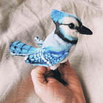 petite-peluche-oiseau-geai-bleu-realiste-ateliers-nature-marionnette-folkmanis-puppets