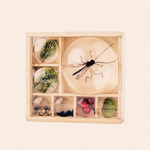 kit-observation-insectes-animation-nature-et-decouverte-enfant-loupe-bois-kikkerland