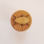 tampon pâte à modeler insecte