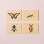 memo-de-poche-insectes-cartes-vintage-marc-vidal