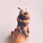 peluche-realiste-escargot-folkmanis-puppets