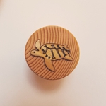 jeu éducatif cycle de vie tortue