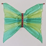 ailes-deguisement-elfe-de-la-foret-sarahs-silk