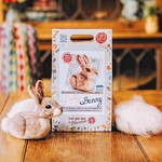 laine-feutree-debutants-lapin-crafty-kit-company