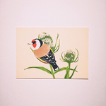 carte-postale-chardonneret-oiseau