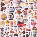 puzzle-bois-champignons-250-pieces-michele-wilson