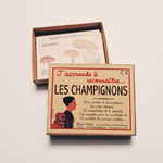 cartes-reconnaitre-les-champignons-comestibles-enfant-marc-vidal