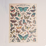 affiche vintage papillons