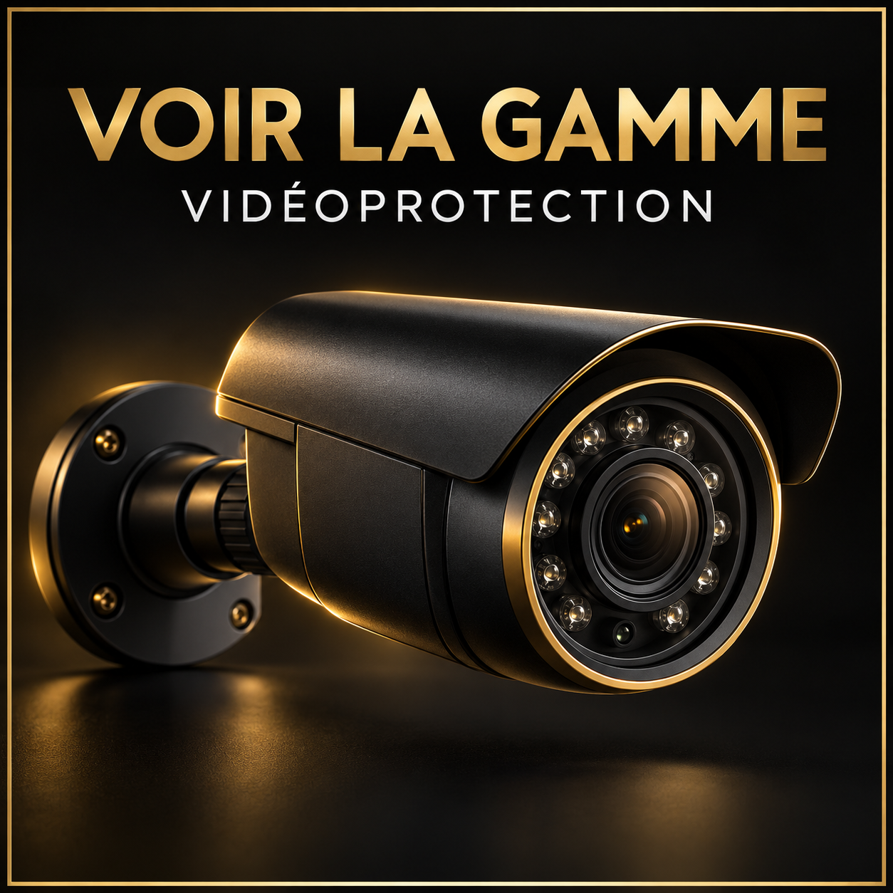 Voir la gamme — VIDÉO-PROTECTION