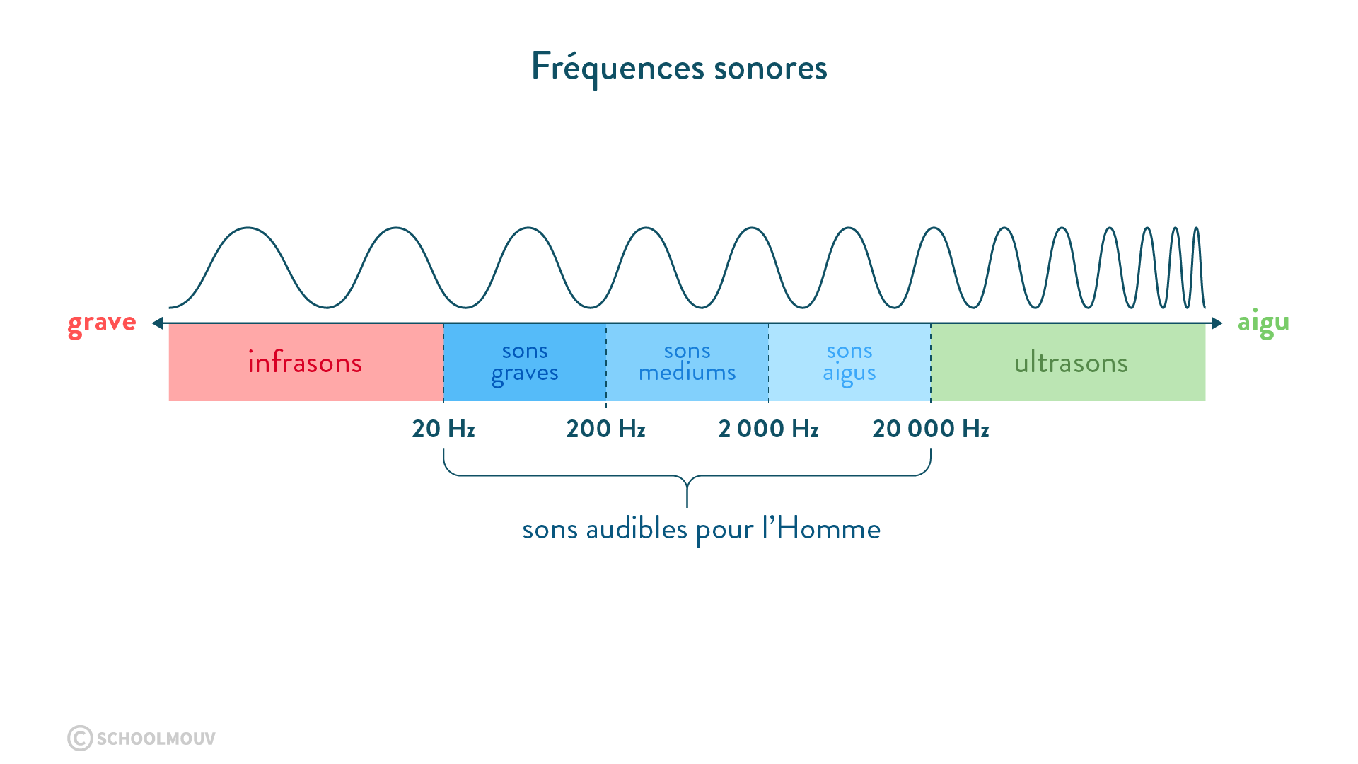 frequence sonore audible par l homme