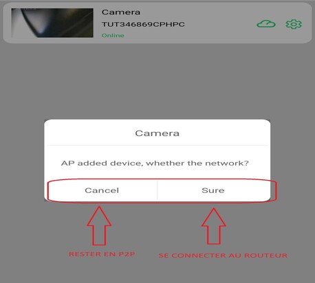 Continuer en p2p ou passer en IP - Lookcam PRO