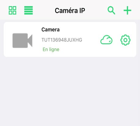 Camera espion en ligne - LookCamPRo