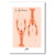 le guilvinec langoustines etsy