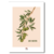 provence les olives etsy