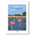 provence flamands roses etsy