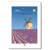 provence le champ de lavande etsy