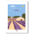 provence le soleil les bories et la lavande etsy