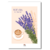 provence petit café en provence etsy