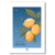 provence les citrons de provence etsy