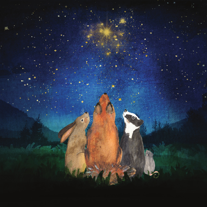 Regarderlesetoiles