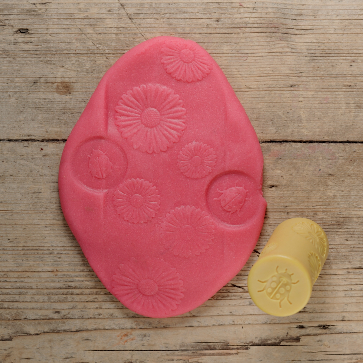 Yellow Door Rouleaux Tampons Insectes de jardin 3