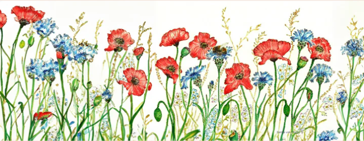 Image Light Wish - Wild Flowers - Illustration Eentje Van Margo 2