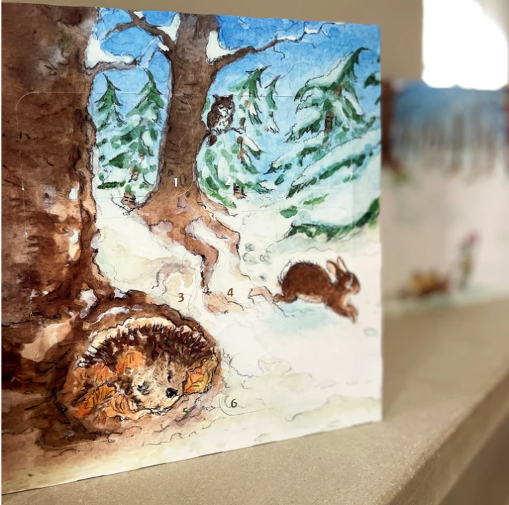 Toverlux Calendrier de lAvent Les 4 Royaumes de la Nature 2