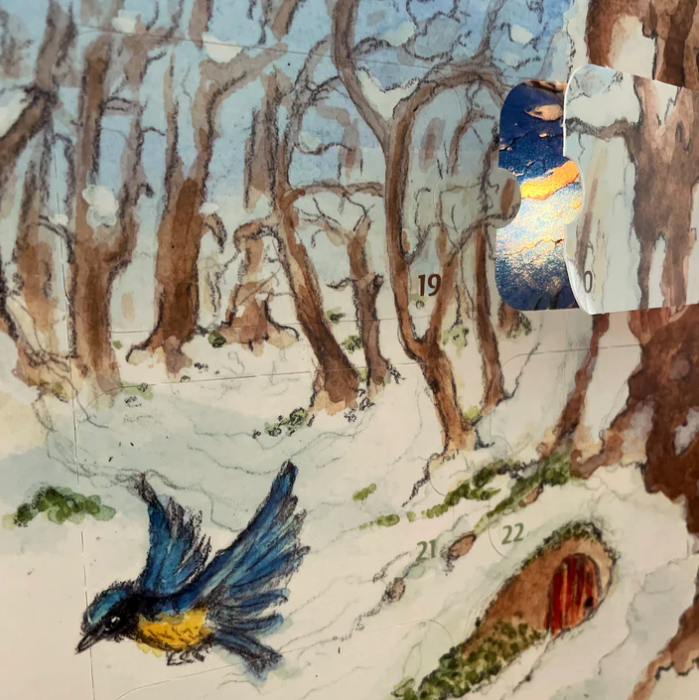 Toverlux Calendrier de lAvent Les 4 Royaumes de la Nature 4