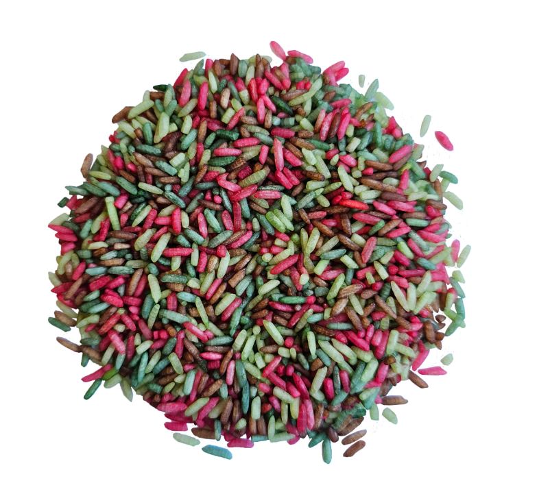 Riz sensoriel Forêt - Grennn 2