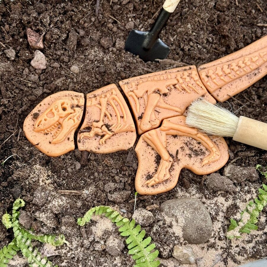 Creuser &amp; découvrir Dinosaures - Yellow Door Ankylosaurus &amp; Tyrannosaurus rex 3