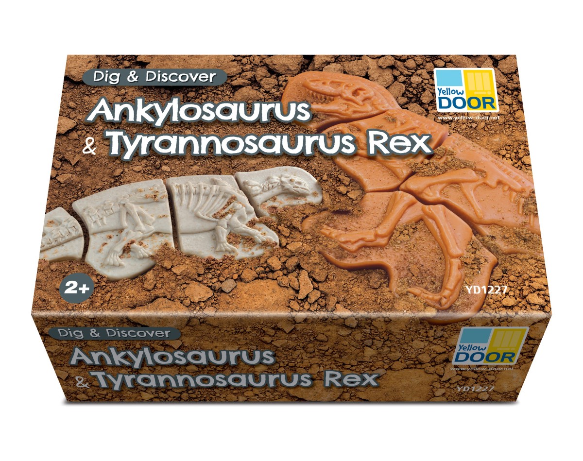 Creuser &amp; découvrir Dinosaures - Yellow Door Ankylosaurus &amp; Tyrannosaurus rex 7
