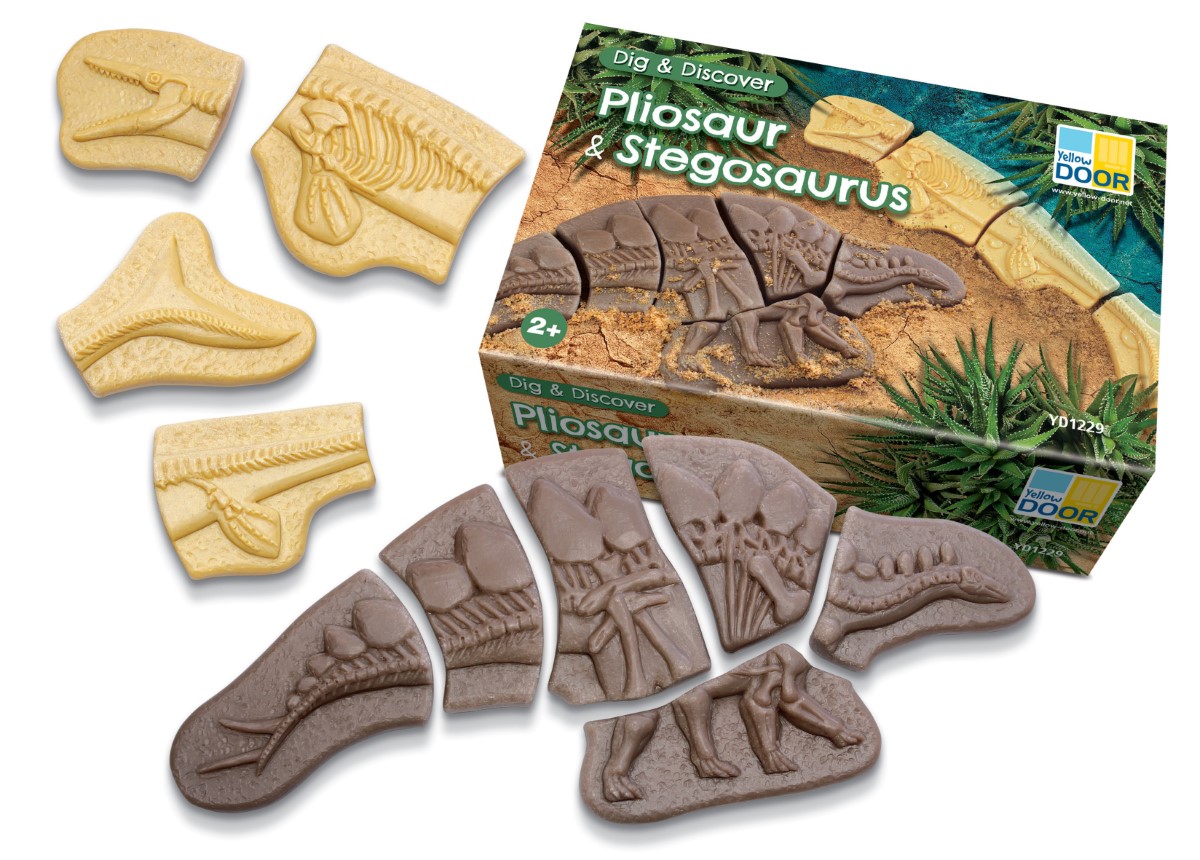 Creuser &amp; découvrir Dinosaures - Pliosaure &amp; Stegosaurus Yellow Door 2