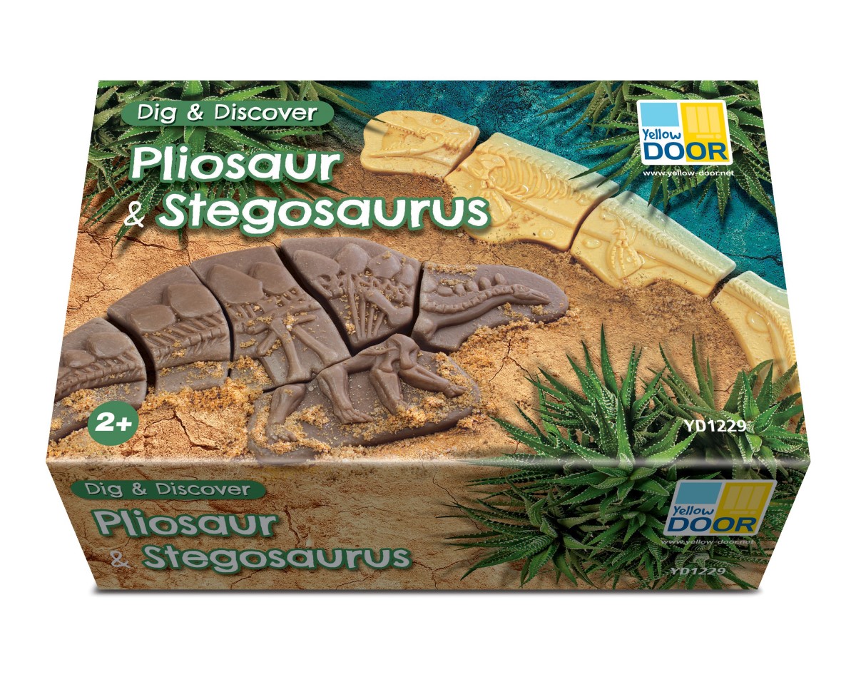 Creuser &amp; découvrir Dinosaures - Pliosaure &amp; Stegosaurus Yellow Door 9