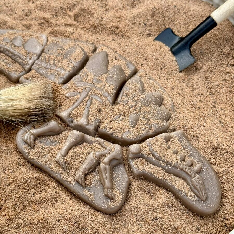 Creuser &amp; découvrir Dinosaures - Pliosaure &amp; Stegosaurus Yellow Door 44