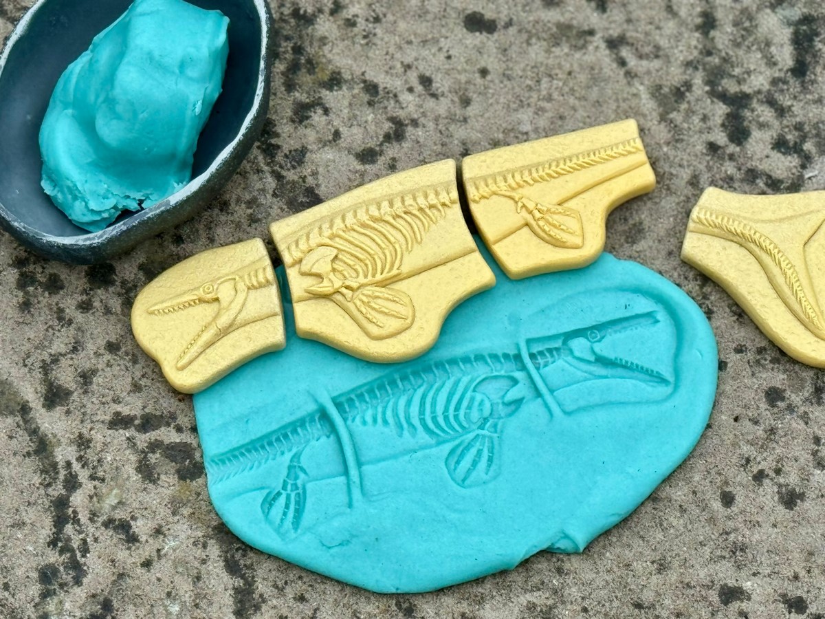 Creuser &amp; découvrir Dinosaures - Pliosaure &amp; Stegosaurus Yellow Door 7