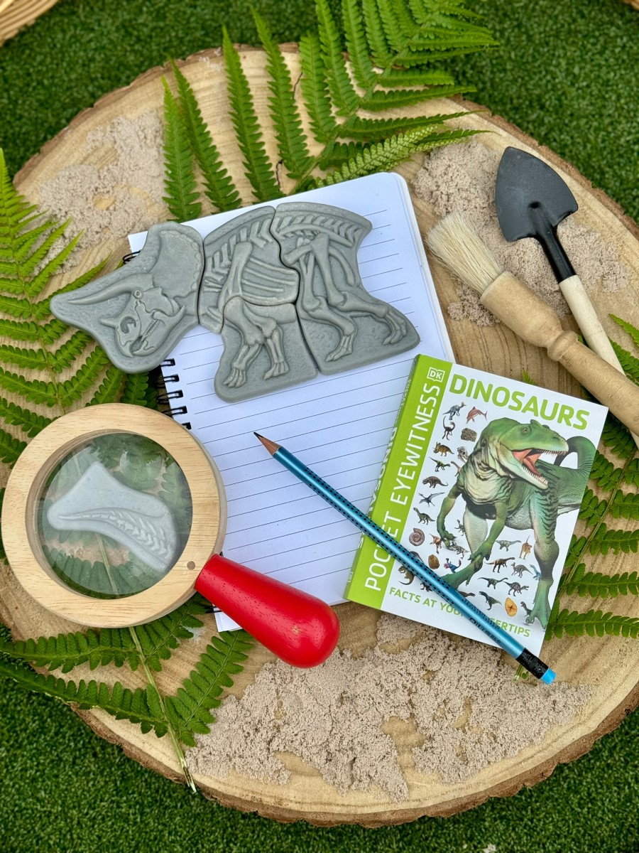 Creuser &amp; découvrir Dinosaures - Triceratops &amp; Spinosaurus Yellow Door 12