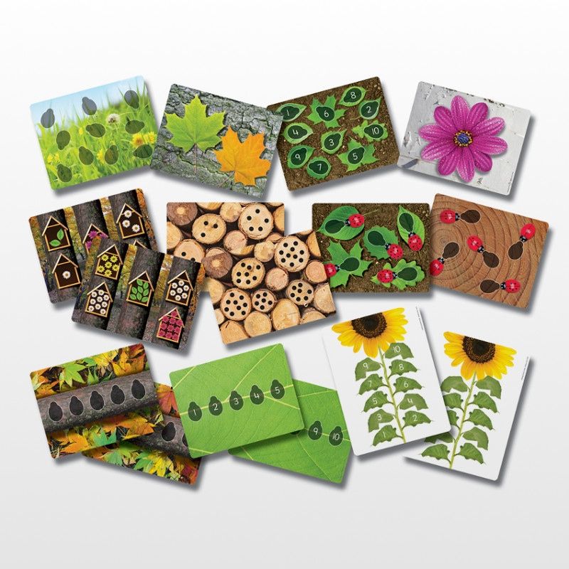 Cartes éducatives Apprendre à compter pour les pierres Coccinelles Yellow Door
