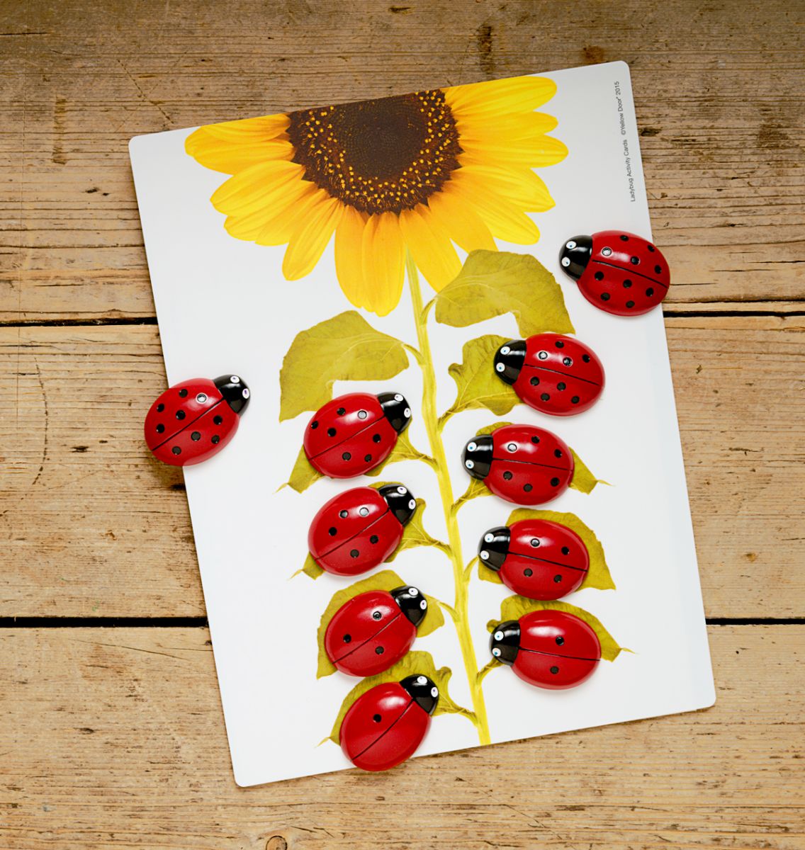 Cartes éducatives Apprendre à compter pour les pierres Coccinelles Yellow Door 2