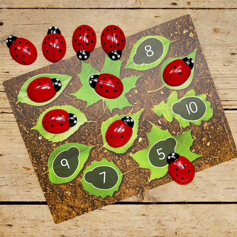 Cartes éducatives Apprendre à compter pour les pierres Coccinelles Yellow Door 5