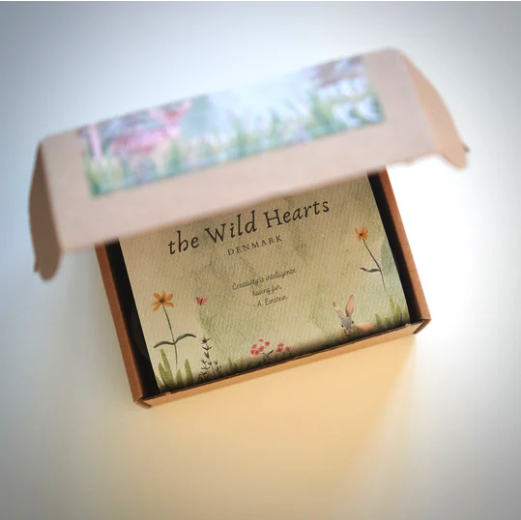 Pâte à modeler Wild Hearts Nordic2