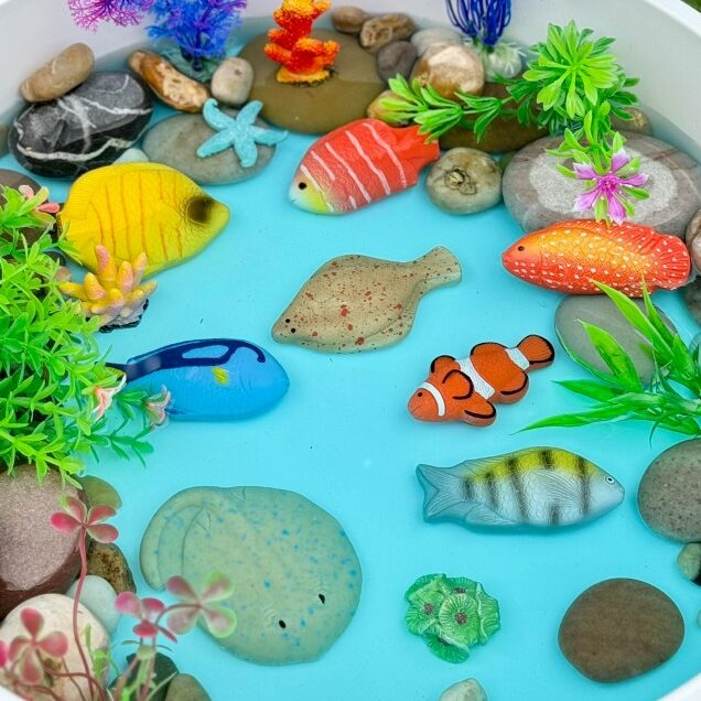 Poissons Pierres sensorielles Lot de 8 Yellow Door 11