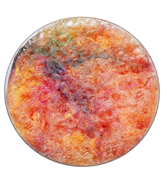 SensoryPopp Grains crépitants pour jeu sensoriel - 50gr2
