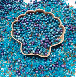 SensoryFun Moule jeu sensoriel - Coquillage 4