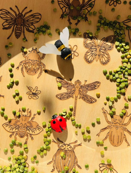 PlayPlayte Insectes pour le PlayTray - Kiddi 4