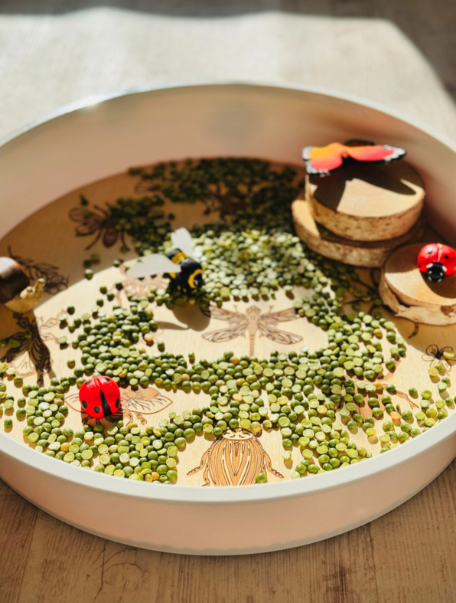 PlayPlayte Insectes pour le PlayTray - Kiddi 3
