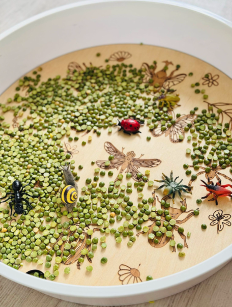 PlayPlayte Insectes pour le PlayTray - Kiddi 2