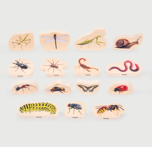 Tickit Insectes en bois - Lot de 154