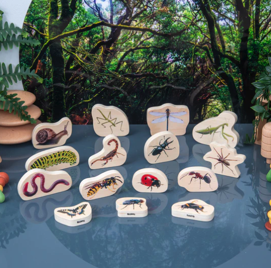 Tickit Insectes en bois - Lot de 152