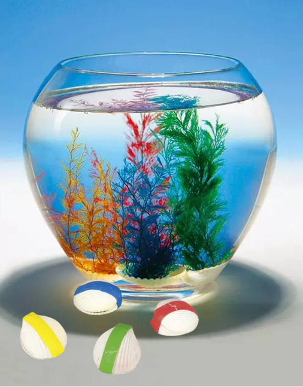 coquillage-magique-goki
