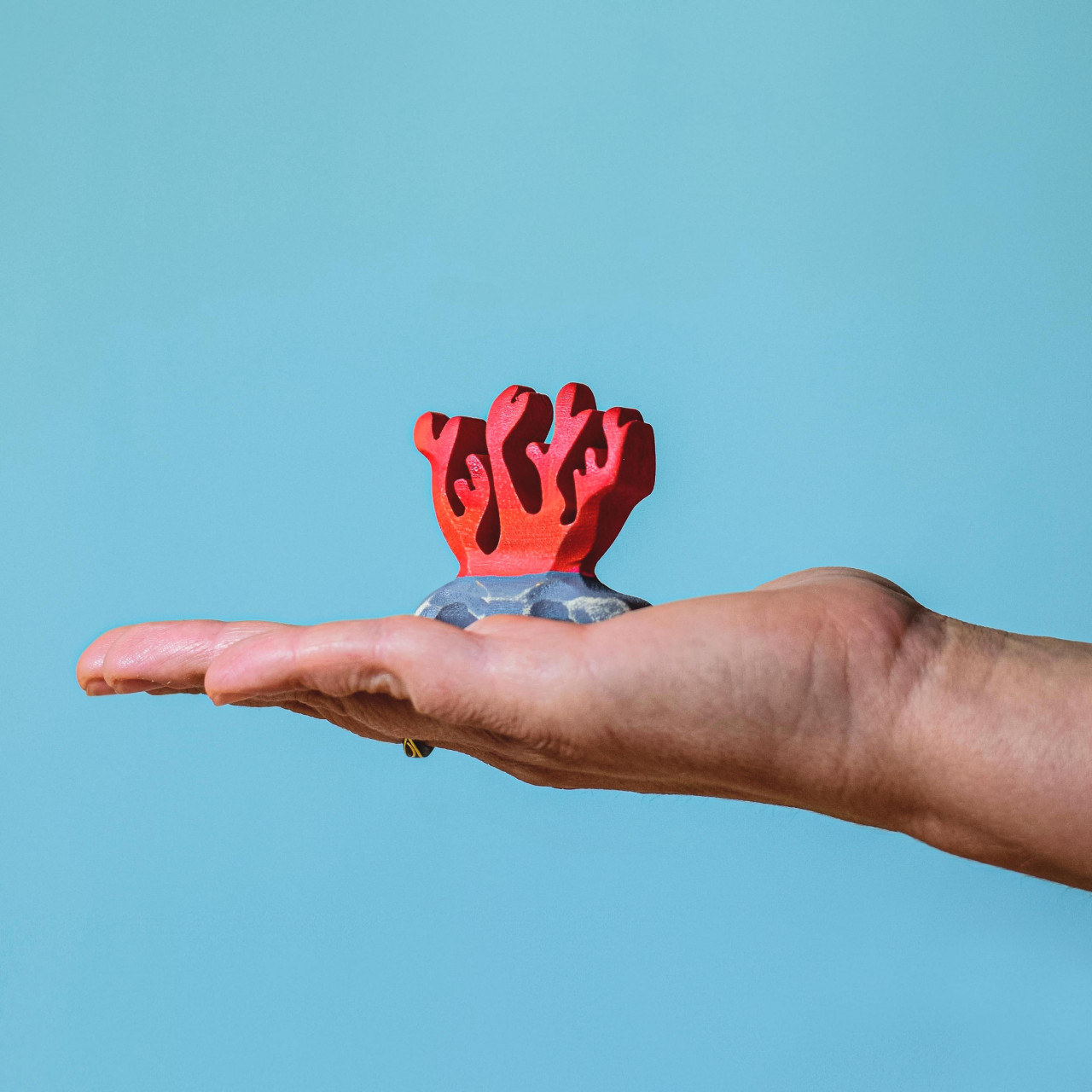 corail-rouge-bumbutoys